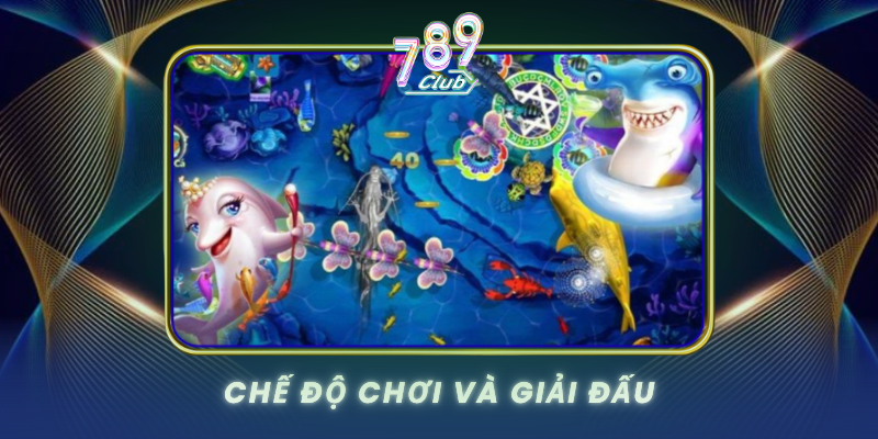 Che Do Choi Va Giai Dau